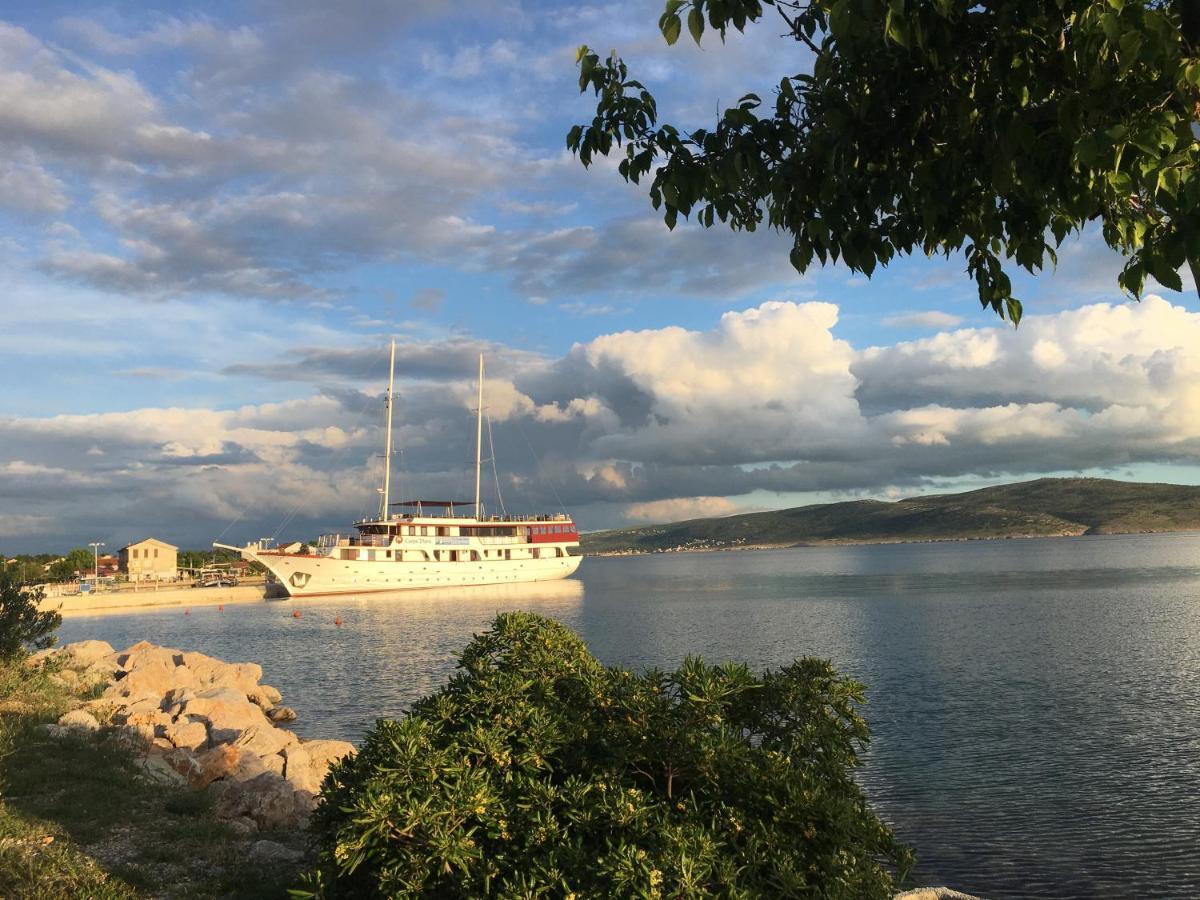 Apartmani 4 Palme Starigrad Paklenica Exteriér fotografie
